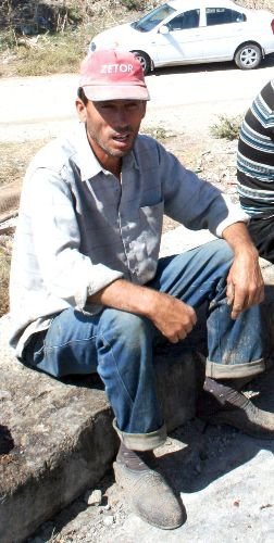 Çiftçi, Ektiği Domatesi Satamayınca Hayvan Merasına Döktü