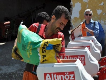 Çiftçi, kaba yem ihtiyacını toprak işlemesiz yöntemle karşılıyor