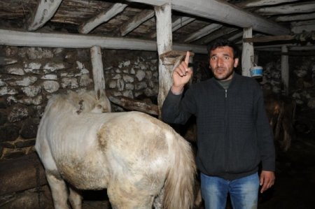 Çiftçi Aktürk'ten CHP'li vekil Öğüt'e tepki: Makarnayı bulsak kendimiz yeriz