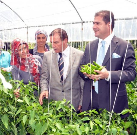 Çiftçi Kadınlar Ürünlerinin İlk Meyvesini Aldı
