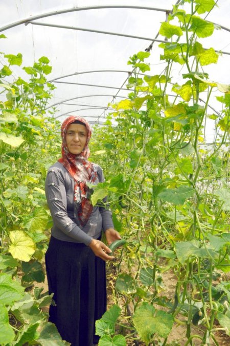 Çiftçi Kadınlar Ürünlerinin İlk Meyvesini Aldı