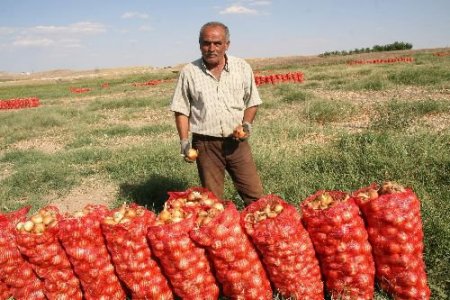 Çiftçi Soğanda Umduğunu Bulamadı