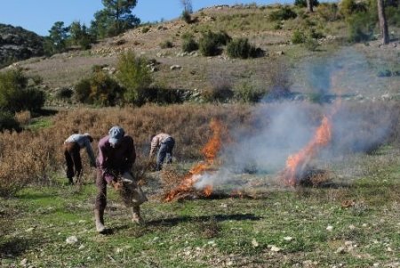 Çiftçiler, Kuru Ot Yakılmasına Karşı Uyarıldı