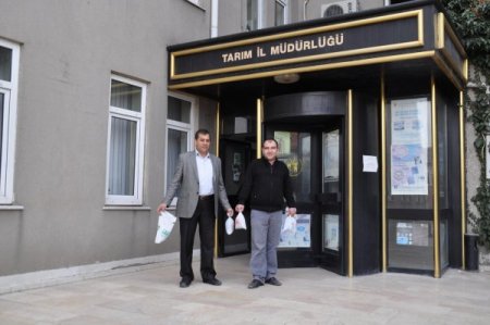 Çiftçiler, Tarla Fareleri İle İlaçlı Buğday Kullanarak Mücadele Edecek