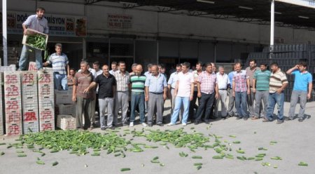 Çiftçiler zarar ettikleri gerekçesiyle tonlarca salatalığı çöpe döktü