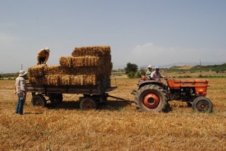 Çiftçilere hasat sonrası anız yakmayın uyarısı