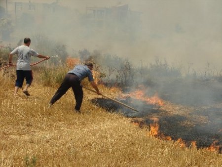 Çiftçilere hasat sonrası anız yakmayın uyarısı