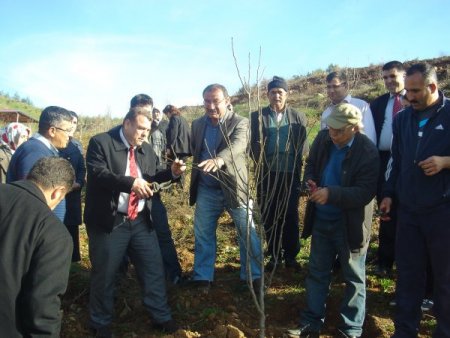 Çiftçilere meyve budama eğitimi uygulamalı gösterildi