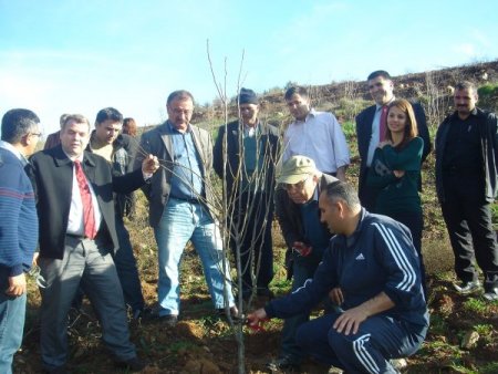 Çiftçilere meyve budama eğitimi uygulamalı gösterildi
