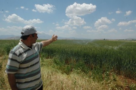 Çiftçilerin İcat Ettikleri Sulama Yöntemi Tarla Fiyatlarını 5 Kat Artırdı