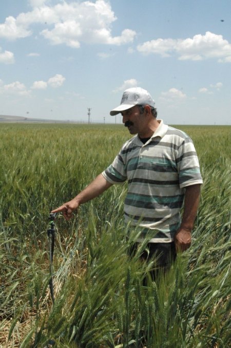 Çiftçilerin İcat Ettikleri Sulama Yöntemi Tarla Fiyatlarını 5 Kat Artırdı