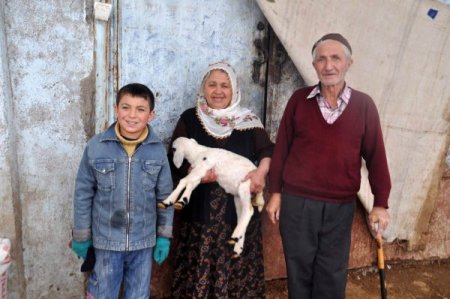 Çiftçinin Otlatmaya Çıkardığı Keçisi Yolda Yavruladı