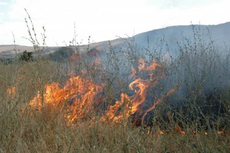 Çiftçiye anız uyarısı