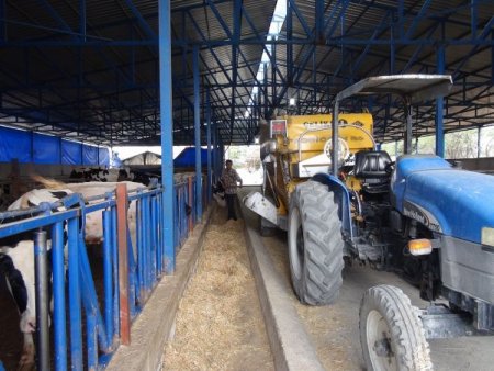 Çiftlik Kurdu, El Değmeden Süt Üretiyor