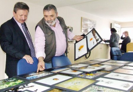 'Çiğdem Pilavı Şenliği'ne Gazeteci- Yazar Çelikkaya'nın Sergisi Renk Katacak