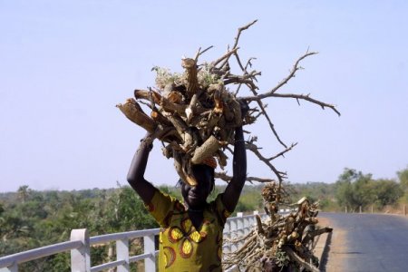 Cihan, stratejik Baninda köprüsünü görüntüledi