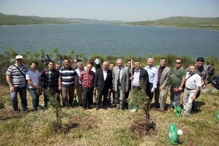 Cihan çalışanları, Başakşehir’de fidan dikti