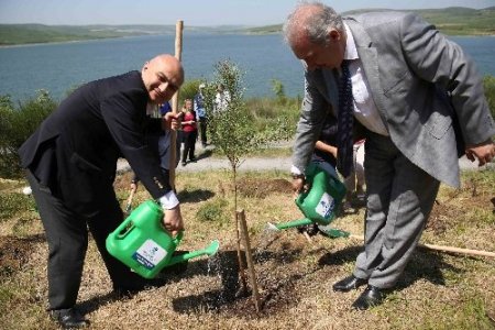 Cihan çalışanları, Başakşehir’de fidan dikti