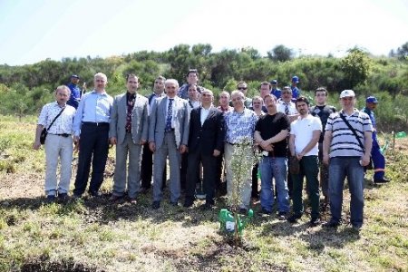 Cihan çalışanları, Başakşehir’de fidan dikti
