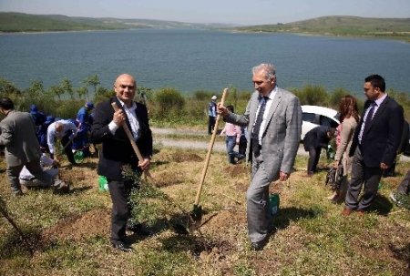 Cihan çalışanları, Başakşehir’de fidan dikti