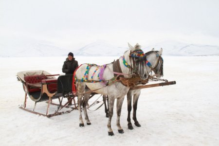 Çıldır Gölü'nde atlı kızak keyfi