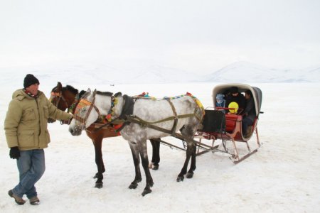Çıldır Gölü'nde atlı kızak keyfi