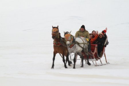 Çıldır Gölü'nde atlı kızak keyfi