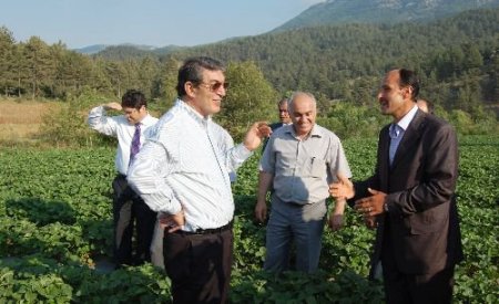 Çilek Üretiminde Başarıyı Yakalayan Kaledibi Gelecek Vadediyor