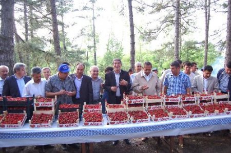 Çilek Üretiminde Başarıyı Yakalayan Kaledibi Gelecek Vadediyor
