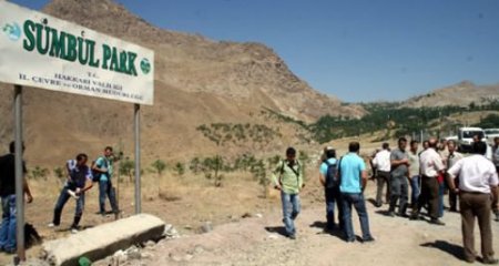 Cilo Doğa Derneği'nden Orman Yangınlarına Tepki