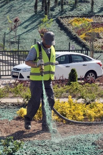 Çimler püskürtme yöntemiyle ekiliyor