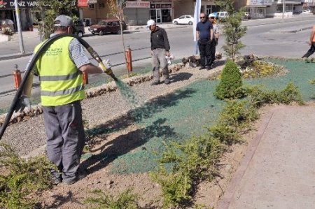 Çimler püskürtme yöntemiyle ekiliyor