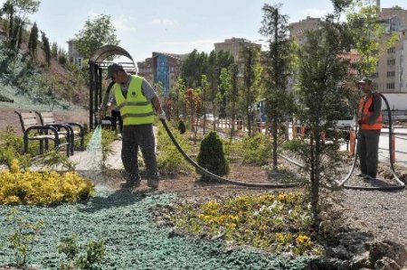 Çimler püskürtme yöntemiyle ekiliyor