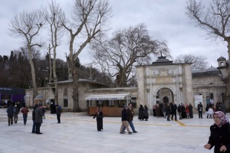 Çınar ağaçlarının asitle kurutulduğu iddiasına vatandaş tepkisi