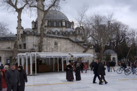 Çınar ağaçlarının asitle kurutulduğu iddiasına vatandaş tepkisi