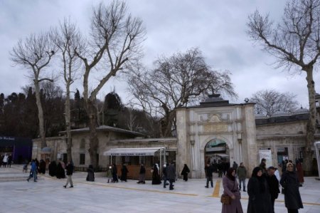 Çınar ağaçlarının asitle kurutulduğu iddiasına vatandaş tepkisi