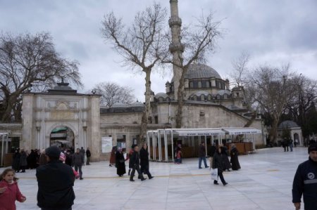 Çınar ağaçlarının asitle kurutulduğu iddiasına vatandaş tepkisi