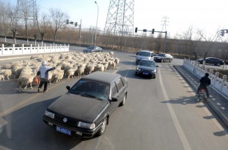 Çin’de kentsel dönüşüm tam gaz (Özel)