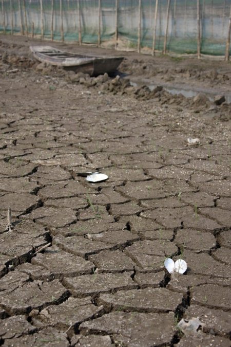 Çin’de Son 50 Yılın En Sert Kuraklığı Yaşanıyor