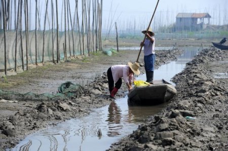 Çin’de Son 50 Yılın En Sert Kuraklığı Yaşanıyor