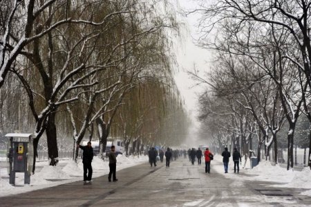 Çin’den kar manzaraları (Özel)