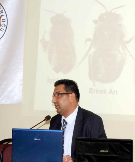 Çin’den Sonra En Fazla Arı Kolonisi Türkiye’de