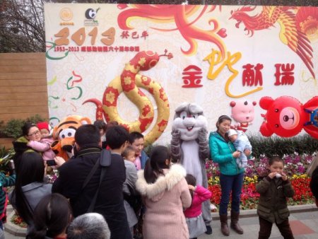 Çinliler, yılan yılında muhteşem gece manzaralarının keyfini çıkarıyor (Özel)