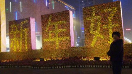 Çinliler, yılan yılında muhteşem gece manzaralarının keyfini çıkarıyor (Özel)