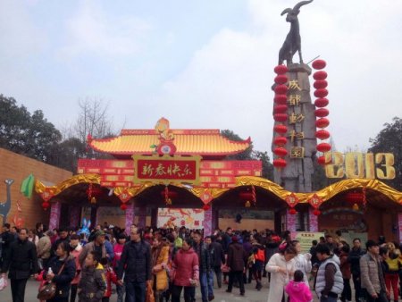 Çinliler, yılan yılında muhteşem gece manzaralarının keyfini çıkarıyor (Özel)