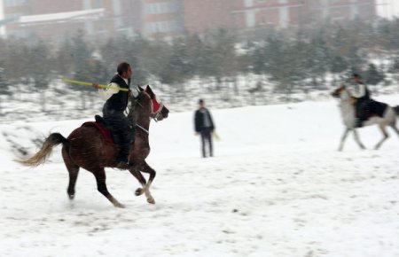 Cirit Müsabakası