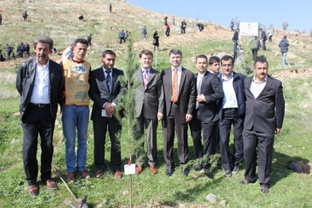 Cizre Meslek Yüksekokulu öğrencileri fidan dikti