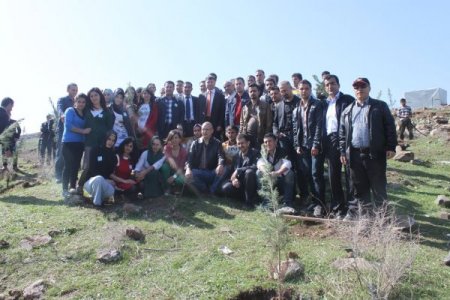 Cizre Meslek Yüksekokulu öğrencileri fidan dikti