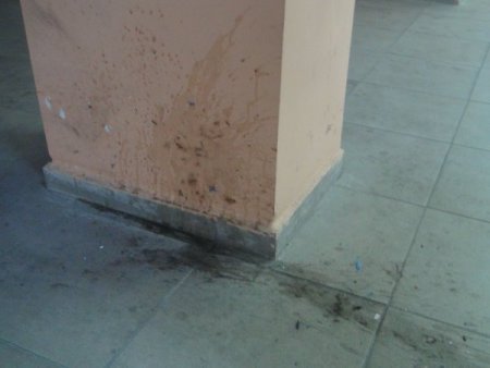 Cizre’de bir liseye ses bombası atıldı