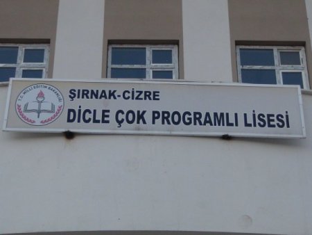 Cizre’de bir liseye ses bombası atıldı
